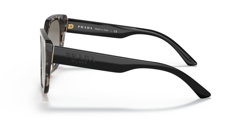 Prada PR 24X UAO0A7 - Talc tortoise thumbnail