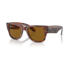 Ray- Ban RB 0840 954/33 - Striped havana