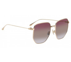 ETRO 0020/S 0000X Rose Gold/Pink Shaded