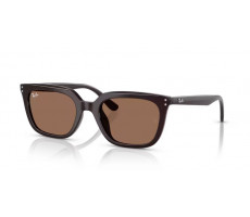 RAY BAN RB 4439 D 623173 - Opal brown