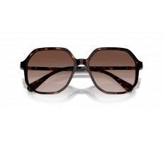 SWAROVSKI SK 6003 100213 Havana