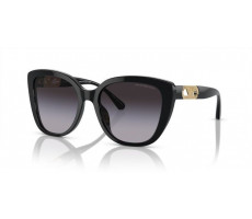 Emporio Armani EA 4214 U 53788G