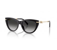 TIFFANY & CO TF 4253 80013C BLACK