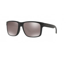 Oakley OO 9102 D6 HOLBROOK PRIZM