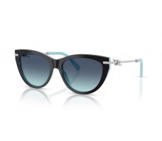 TIFFANY & CO TF 4253 80559S Black on tiffany blue