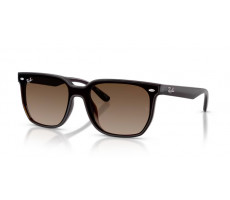 RAY BAN RB 4466D 71413 Transparent dark brown