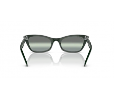 Ray-Ban RB 2299 6659G4 - Green