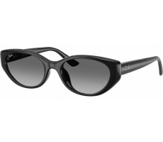 Ray-Ban RB 4457 D 667711 Black
