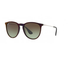 Ray-Ban RB 4171 6316/E8 YOUNGSTER ERIKA