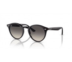 RAY BAN RB 2180 601/11 - Black