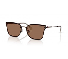 SWAROVSKI SK 7036 D 400273 BROWN