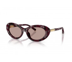 Dolce & Gabbana DG 4519 34647N
