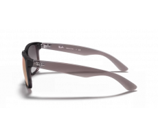 Ray-Ban RB 4165 606/U0 - Transparent grey