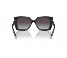 Tiffany&Co TF 4199 80013C - Black
