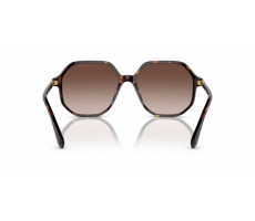 SWAROVSKI SK 6003 100213 Havana