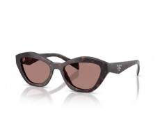 PRADA PR A02 17N60B Root tortoise