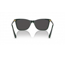 SWAROVSKI SK 6004 102687 Green