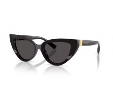 Dolce & Gabbana DG 4497 50187 BLACK
